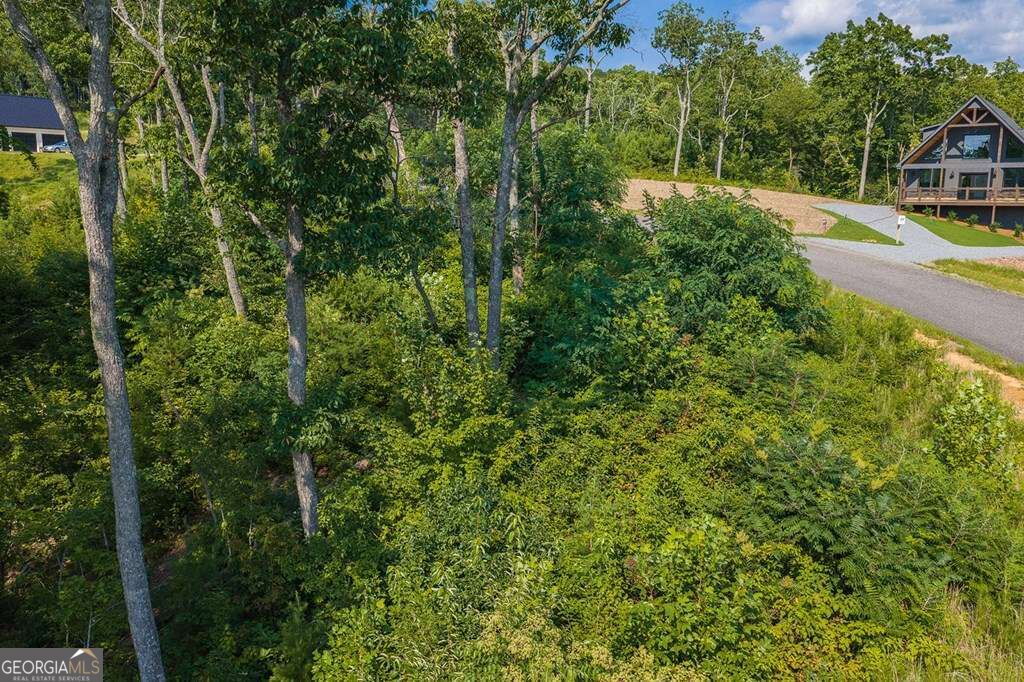 Lot 93 Timberline Trail # 93 Property Photo 2