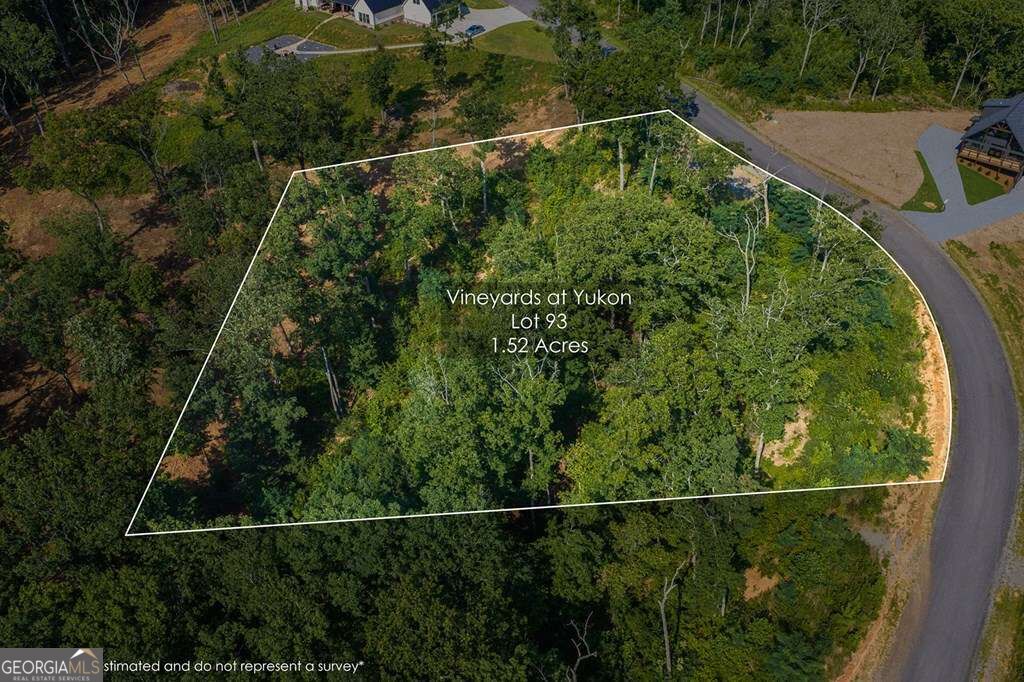 Lot 93 Timberline Trail # 93 Property Photo 3