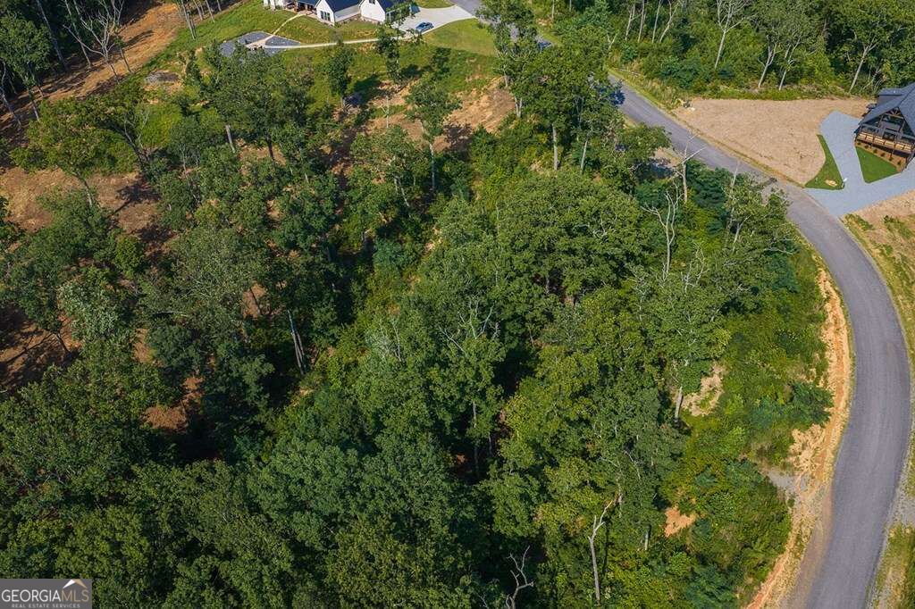 Lot 93 Timberline Trail # 93 Property Photo 4