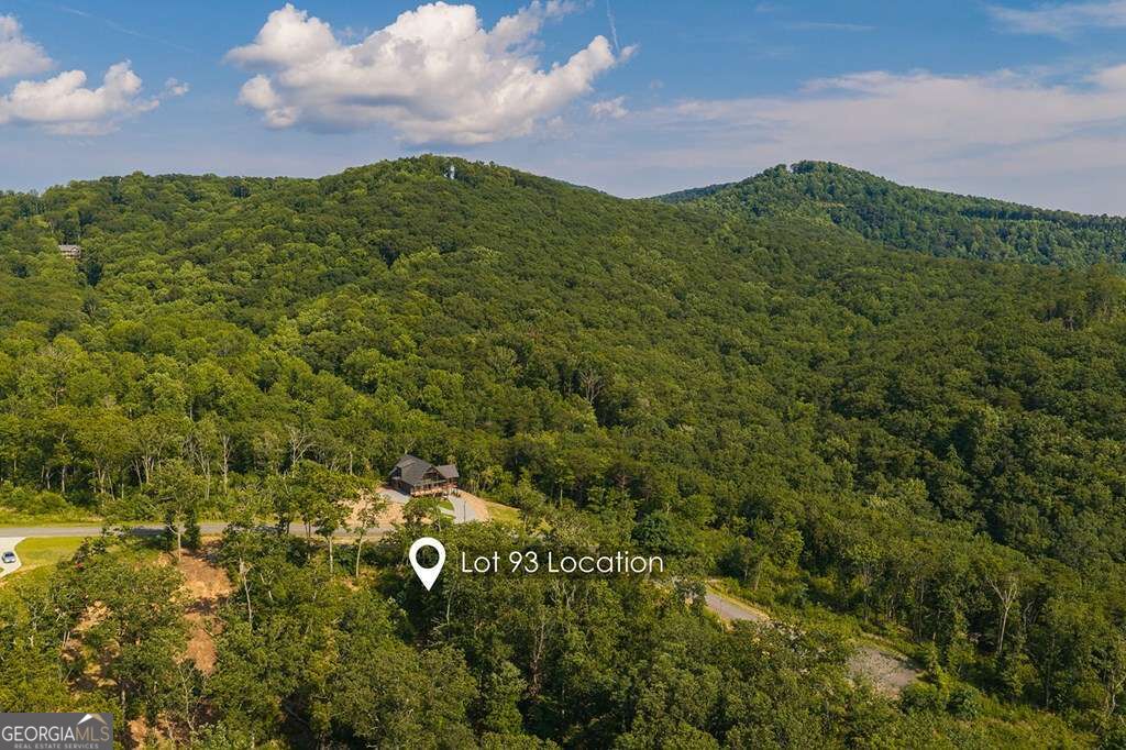 Lot 93 Timberline Trail # 93 Property Photo 5