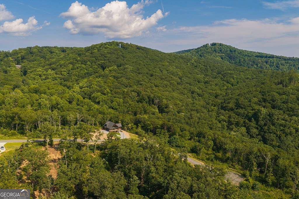 Lot 93 Timberline Trail # 93 Property Photo 6