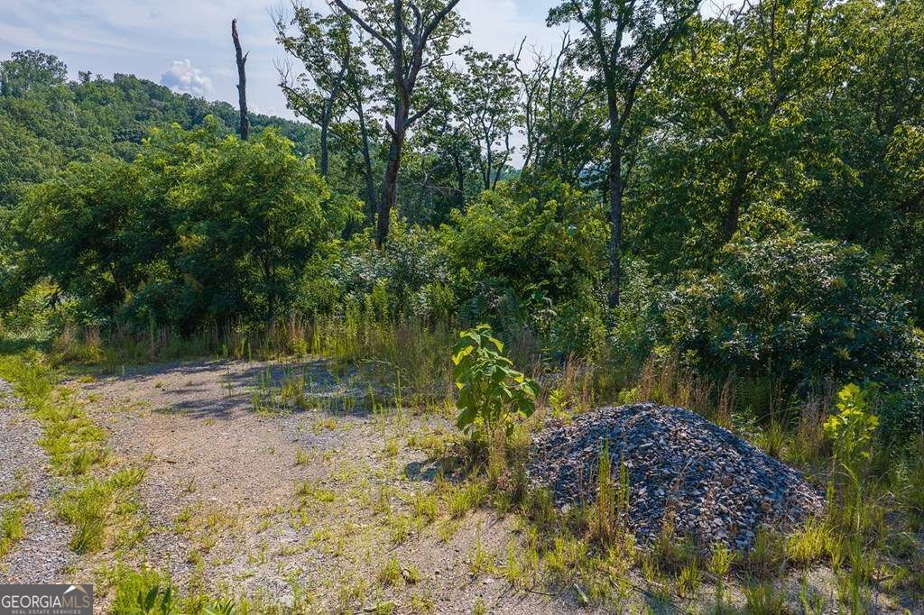 Lot 93 Timberline Trail # 93 Property Photo 7