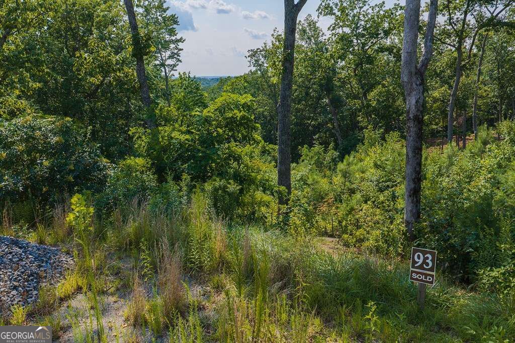 Lot 93 Timberline Trail # 93 Property Photo 8