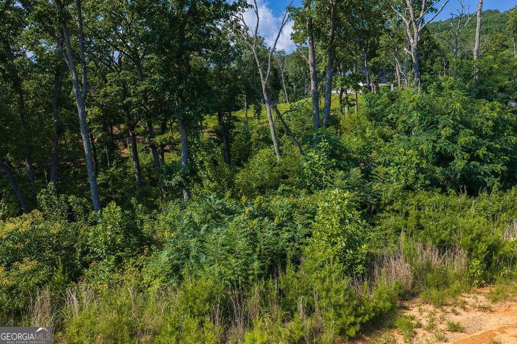 Lot 93 Timberline Trail # 93 Property Photo 9