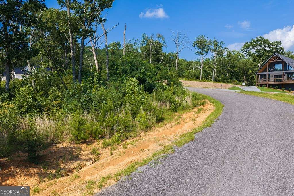 Lot 93 Timberline Trail # 93 Property Photo 10
