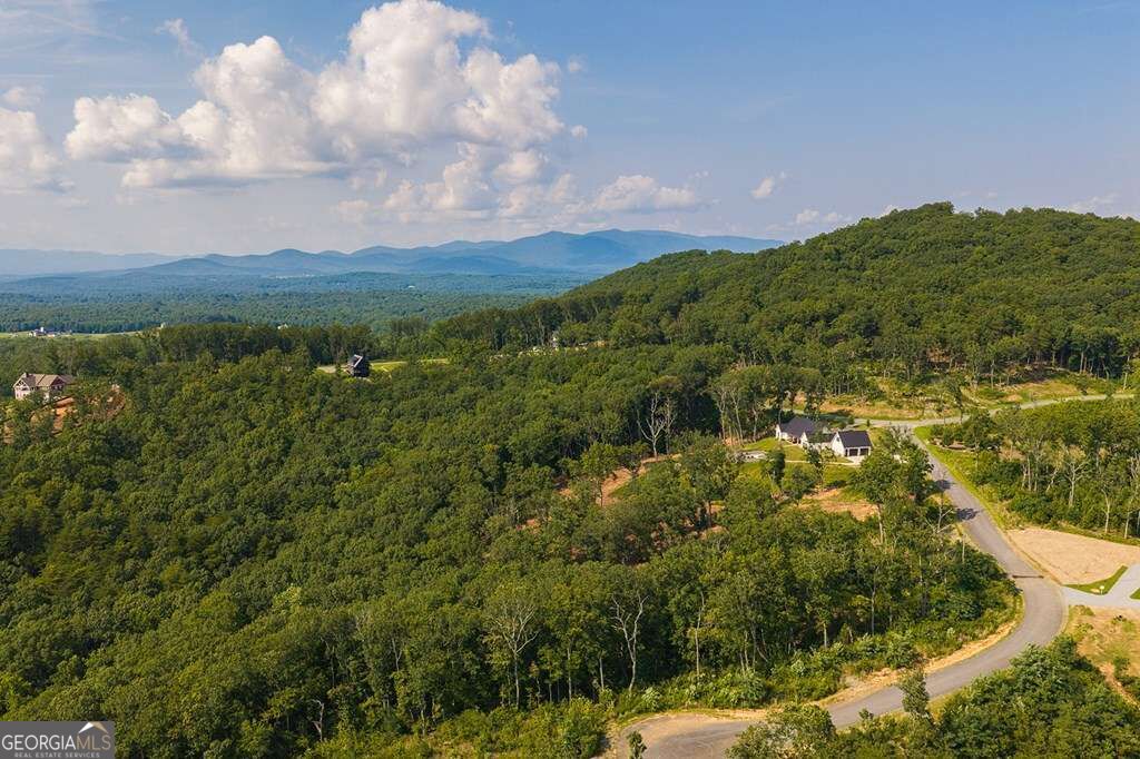 Lot 93 Timberline Trail # 93 Property Photo 11