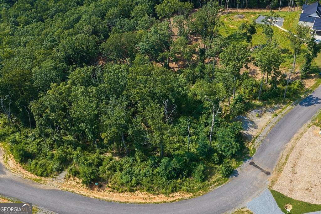 Lot 93 Timberline Trail # 93 Property Photo 12