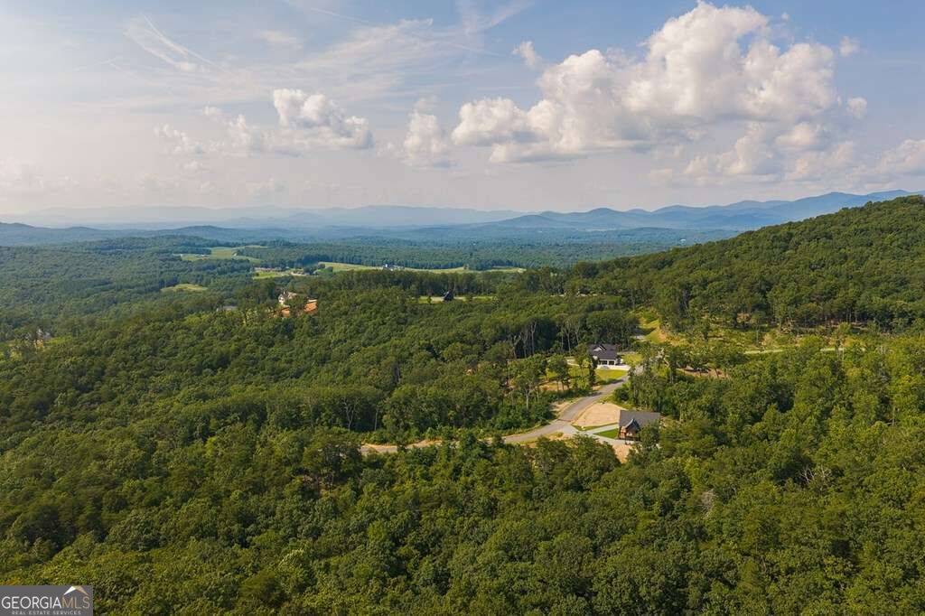 Lot 93 Timberline Trail # 93 Property Photo 13