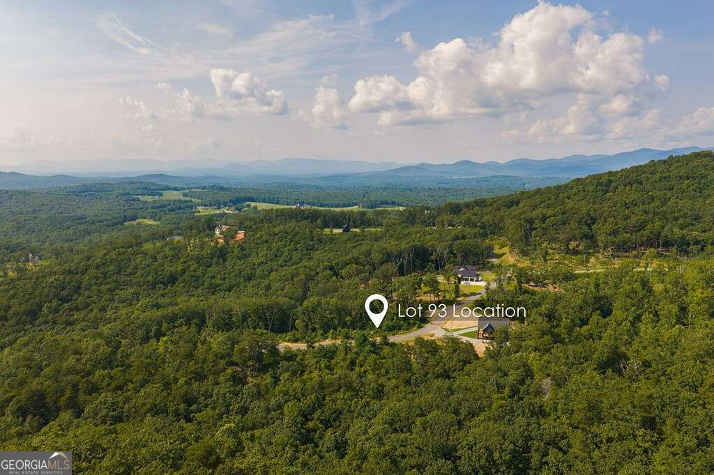 Lot 93 Timberline Trail # 93 Property Photo 14