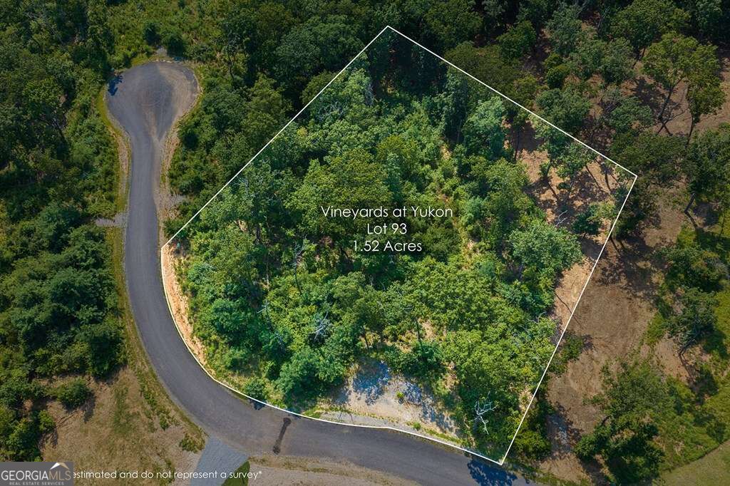 Lot 93 Timberline Trail # 93 Property Photo 15