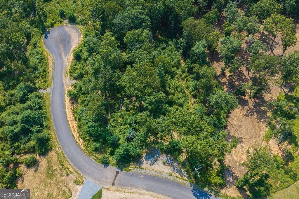 Lot 93 Timberline Trail # 93 Property Photo 16