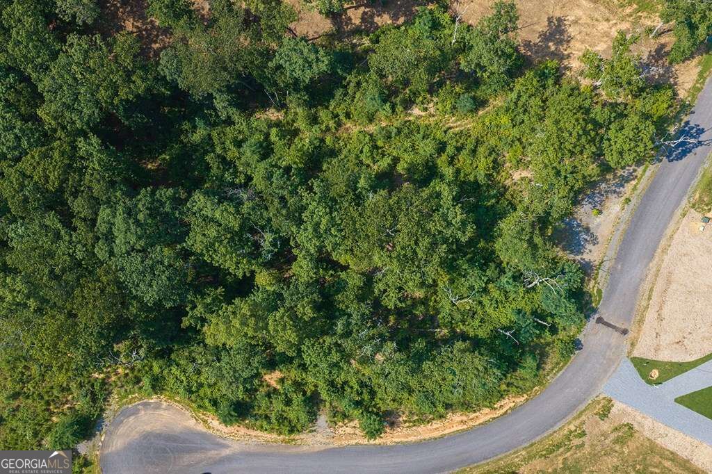 Lot 93 Timberline Trail # 93 Property Photo 17