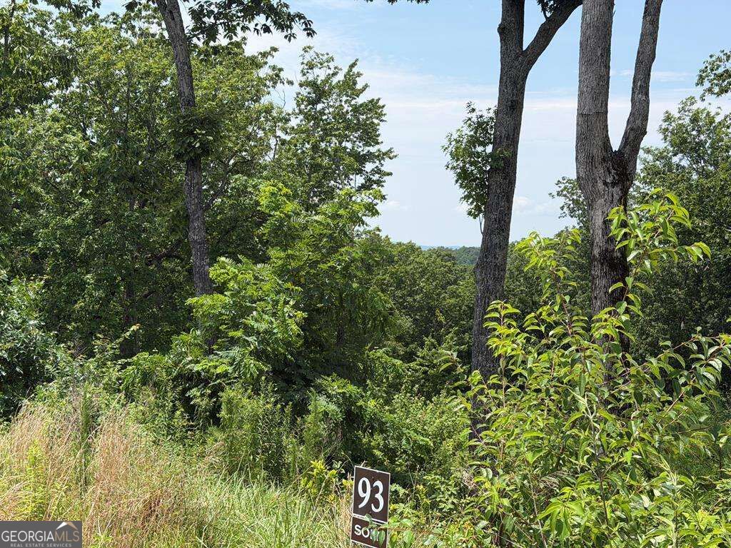 Lot 93 Timberline Trail # 93 Property Photo 18
