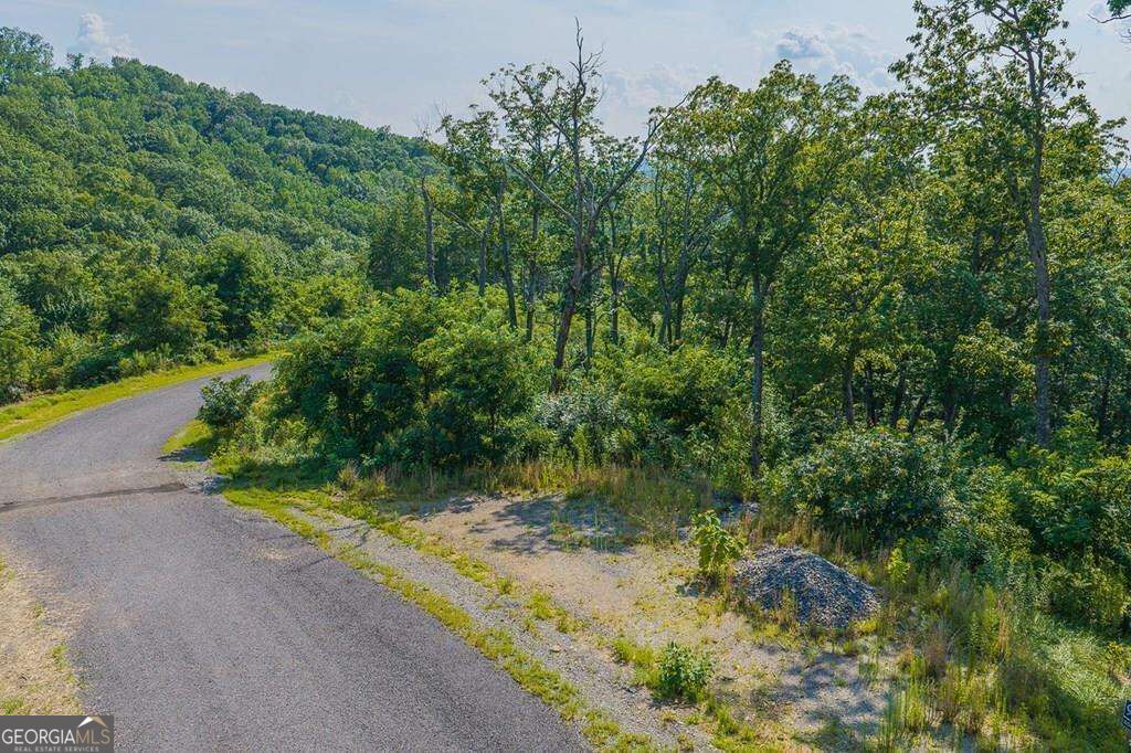 Lot 93 Timberline Trail # 93 Property Photo 19