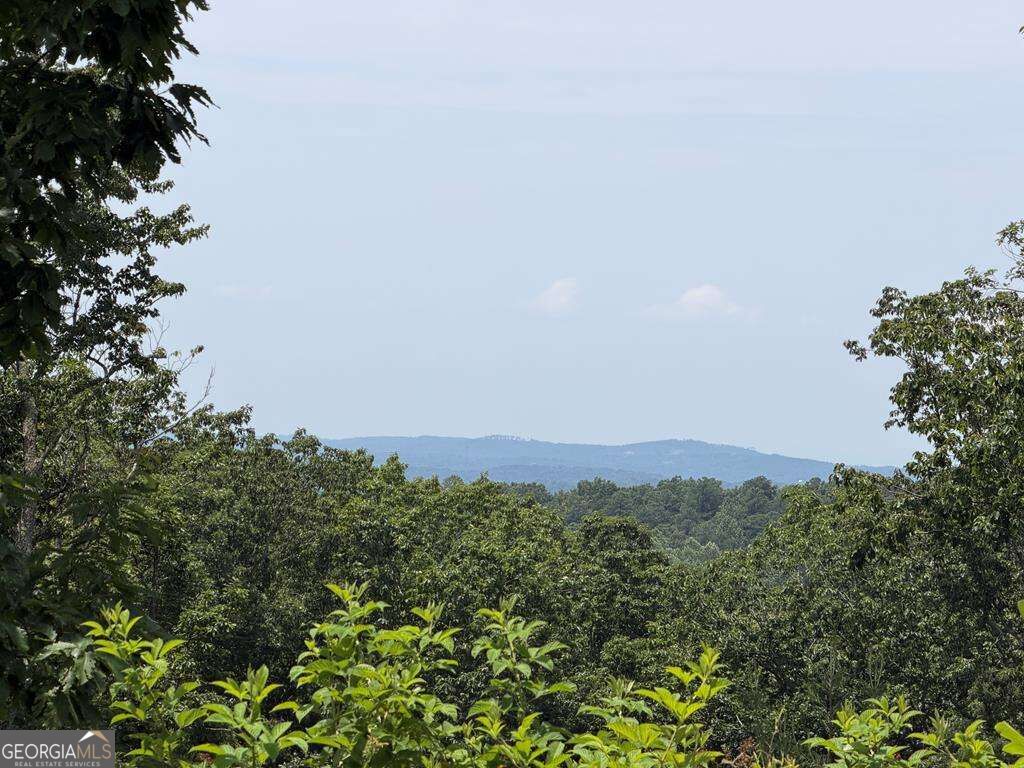 Lot 93 Timberline Trail # 93 Property Photo 20