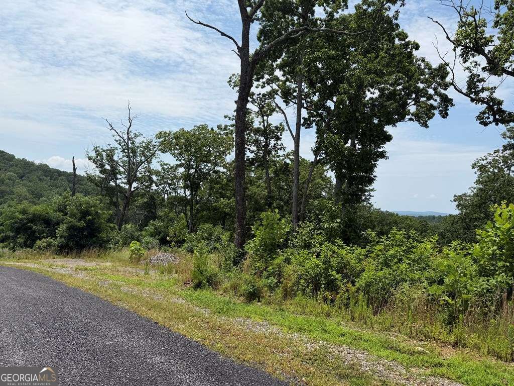 Lot 93 Timberline Trail # 93 Property Photo 21