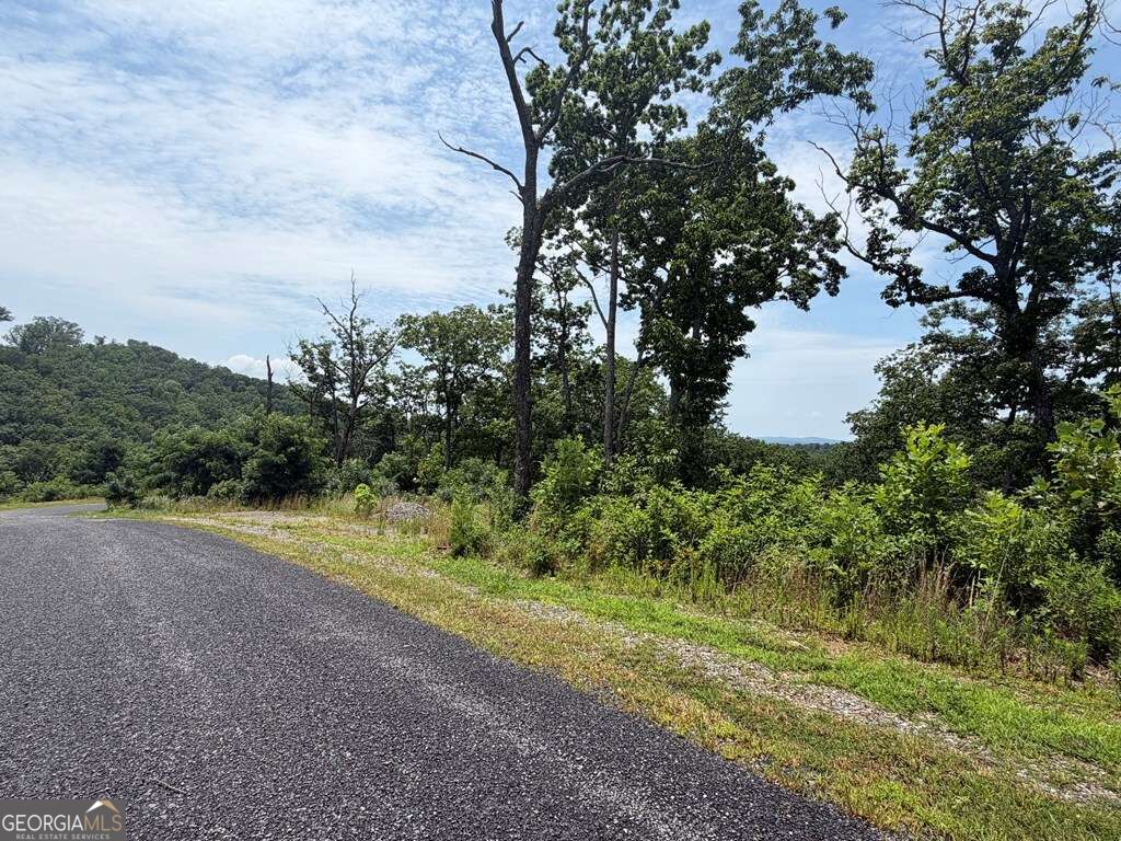 Lot 93 Timberline Trail # 93 Property Photo 22