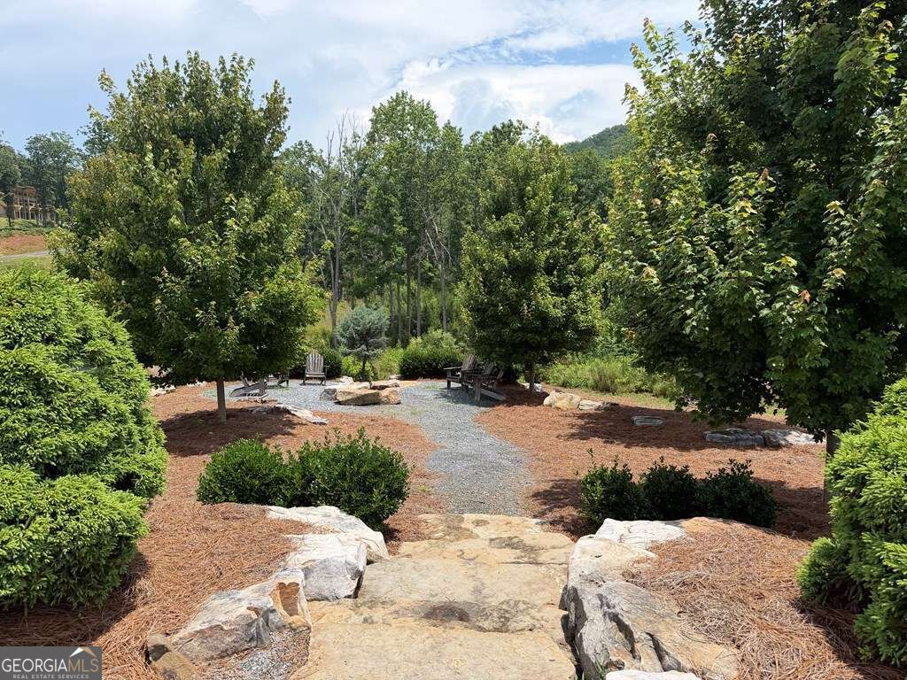 Lot 93 Timberline Trail # 93 Property Photo 24