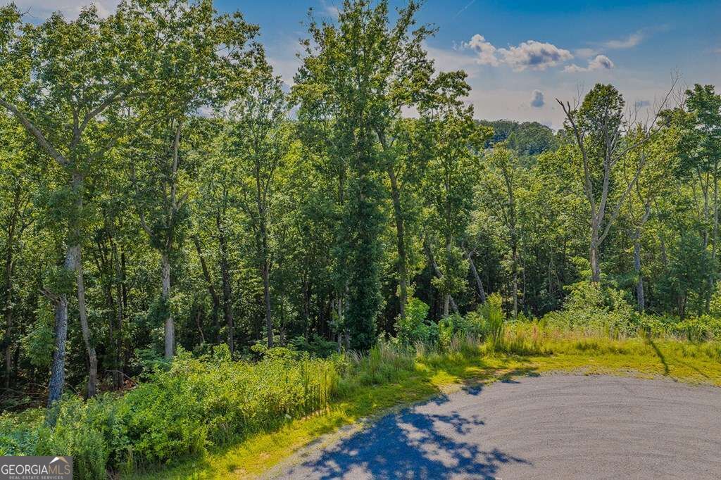 Lot 84 High Summit Drive # 84 Property Photo 2