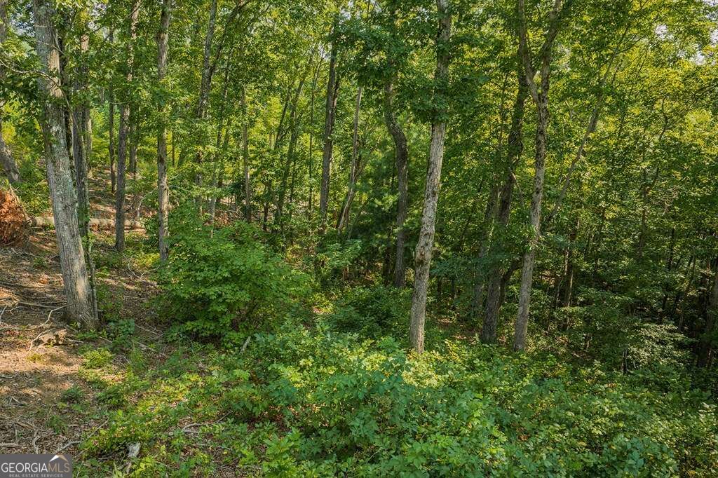 Lot 84 High Summit Drive # 84 Property Photo 6