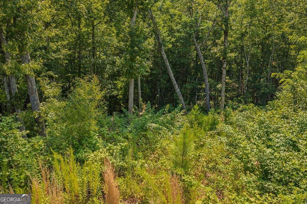 Lot 84 High Summit Drive # 84 Property Photo 7