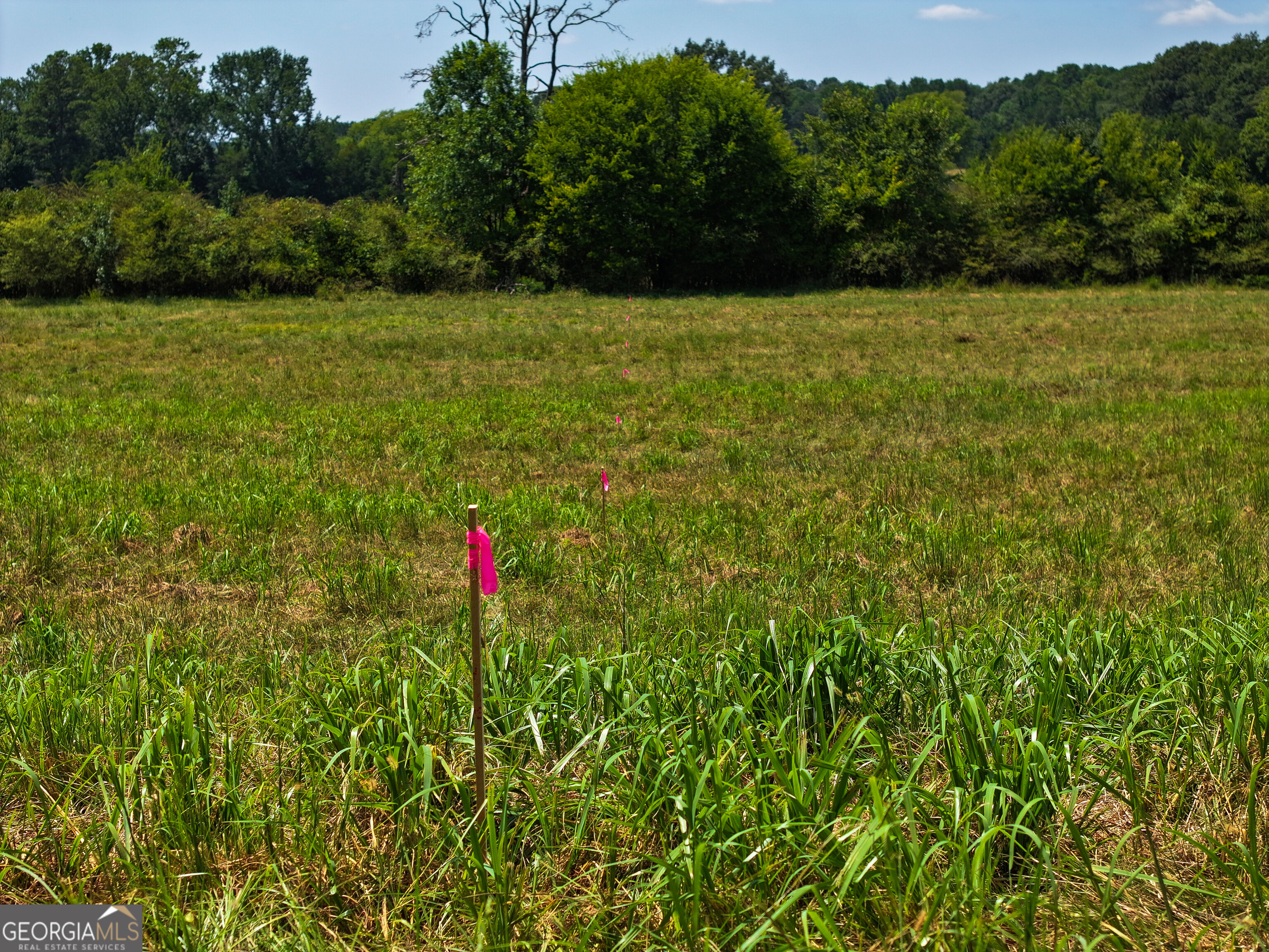 0 Buttermilk Road # 2 Property Photo 15