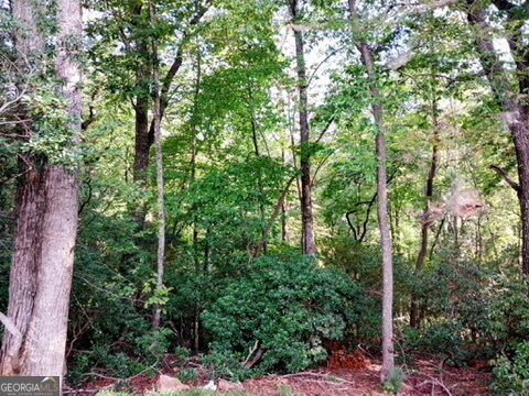 254 Spring Crest Road Property Photo 68