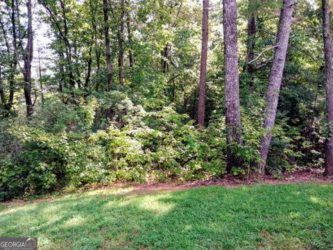 254 Spring Crest Road Property Photo 69
