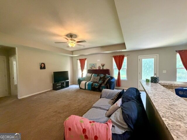 3555 Silver Mist Circle Property Photo 4