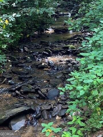 0 Seven Springs Property Photo 1