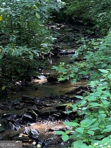 0 Seven Springs Property Photo 2