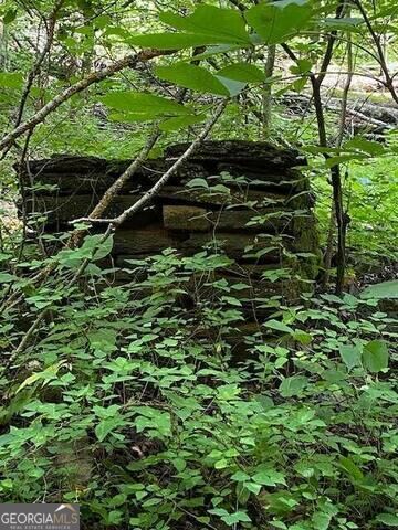 0 Seven Springs Property Photo 3