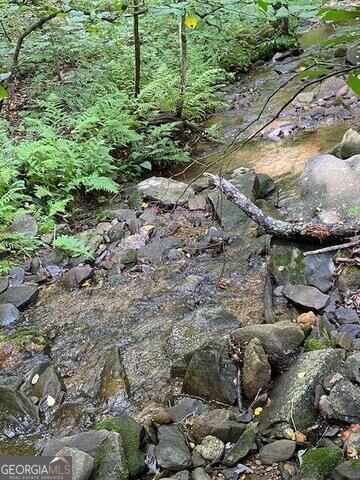 0 Seven Springs Property Photo 4