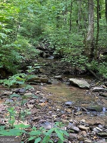 0 Seven Springs Property Photo 5