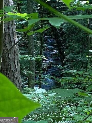 0 Seven Springs Property Photo 8