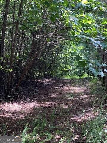 0 Seven Springs Property Photo 11