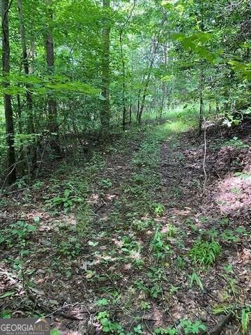 0 Seven Springs Property Photo 12