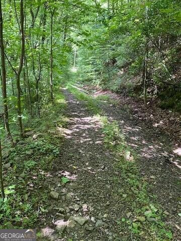 0 Seven Springs Property Photo 13