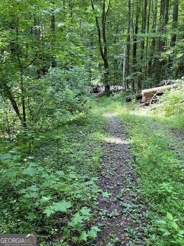 0 Seven Springs Property Photo 14