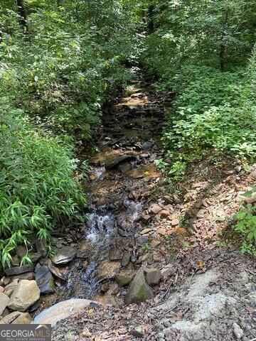 0 Seven Springs Property Photo 15