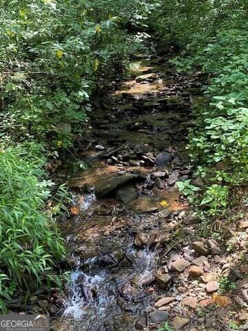 0 Seven Springs Property Photo 16