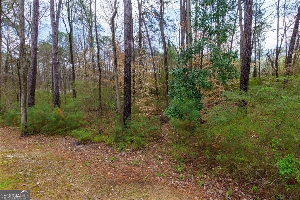 2913 Ilir Manor Nw Property Photo 28