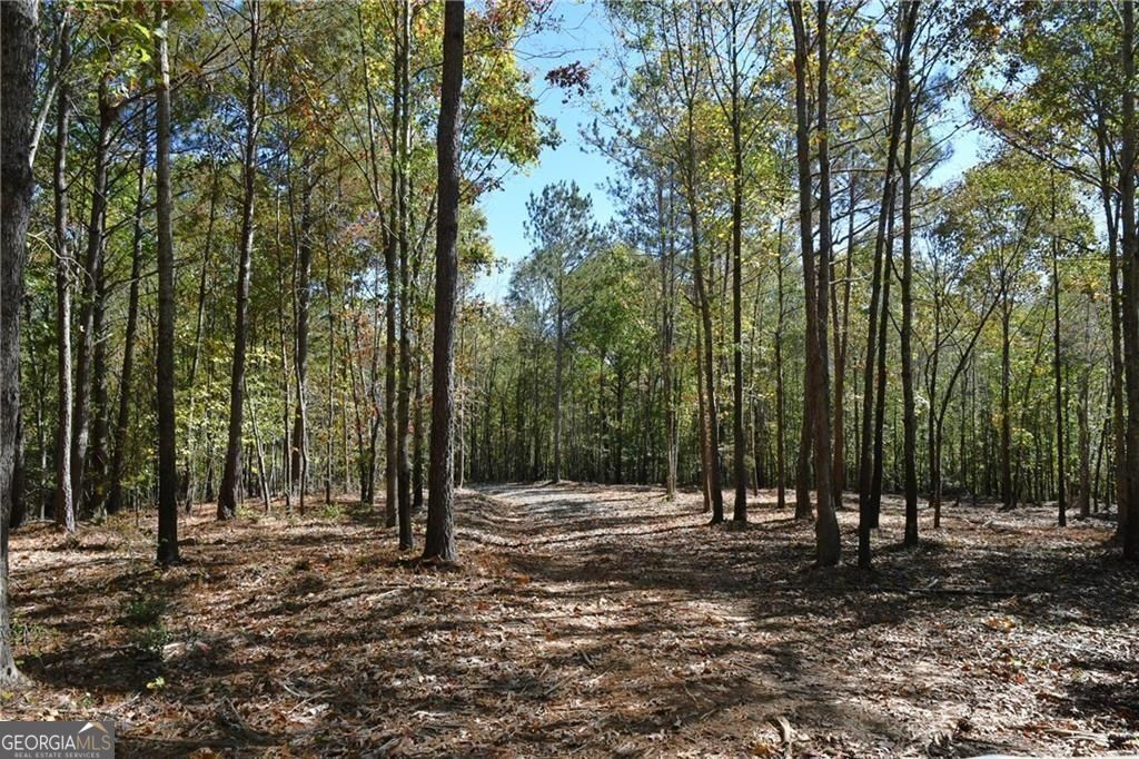 352 Mulberry Road Property Photo 4