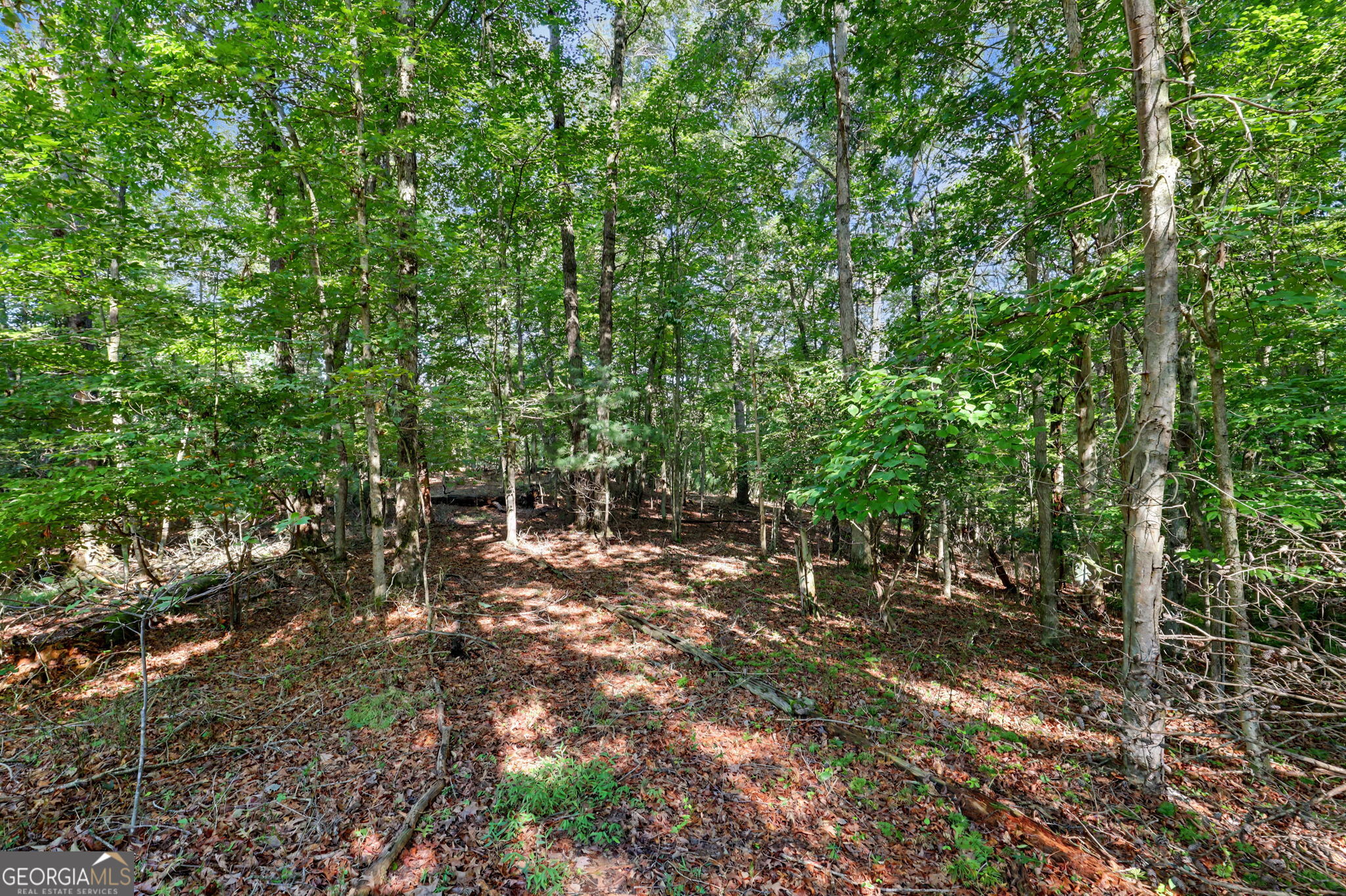 167 Anglers Loop Property Photo 55