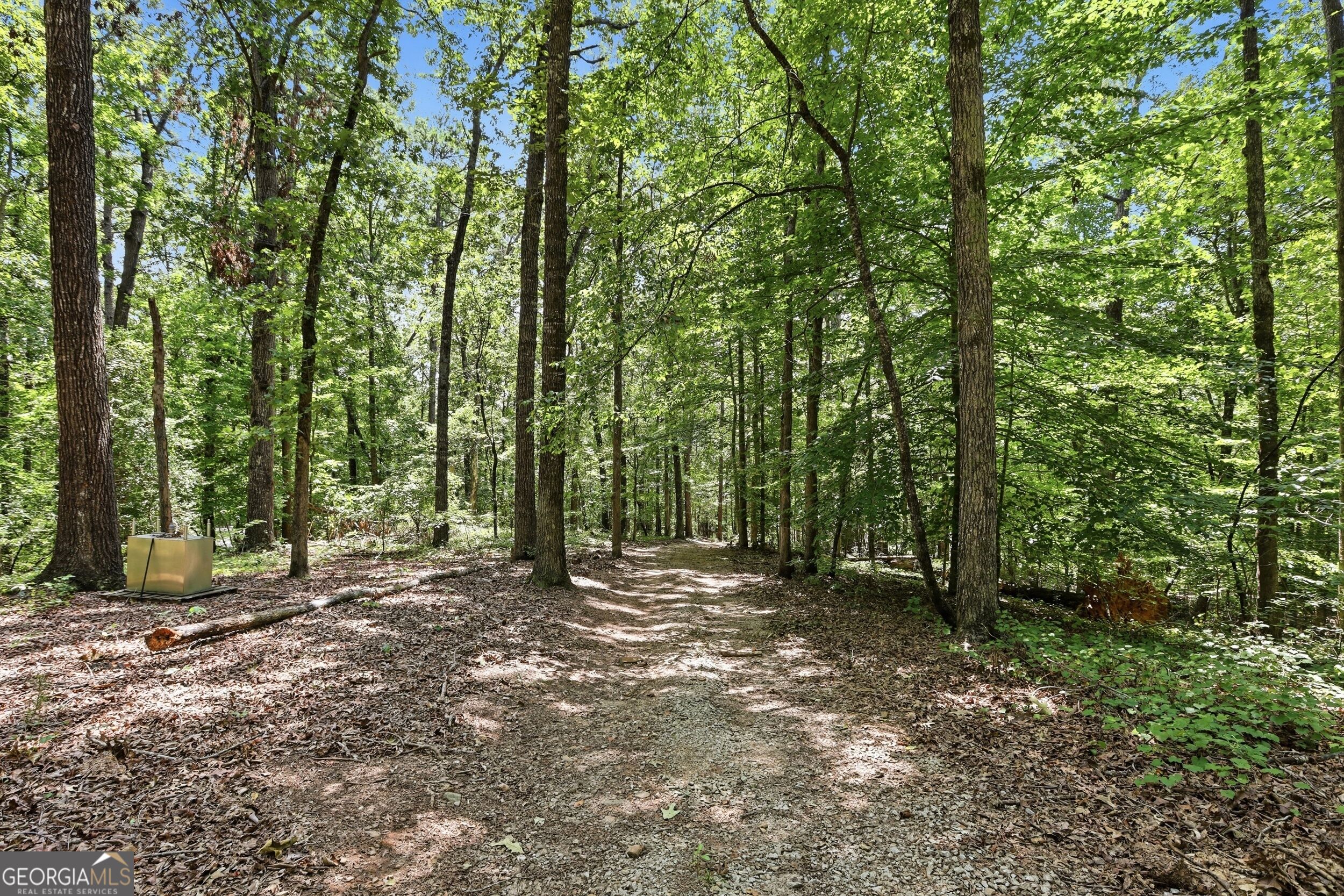 346 Currahee Ridge Road Property Photo 38