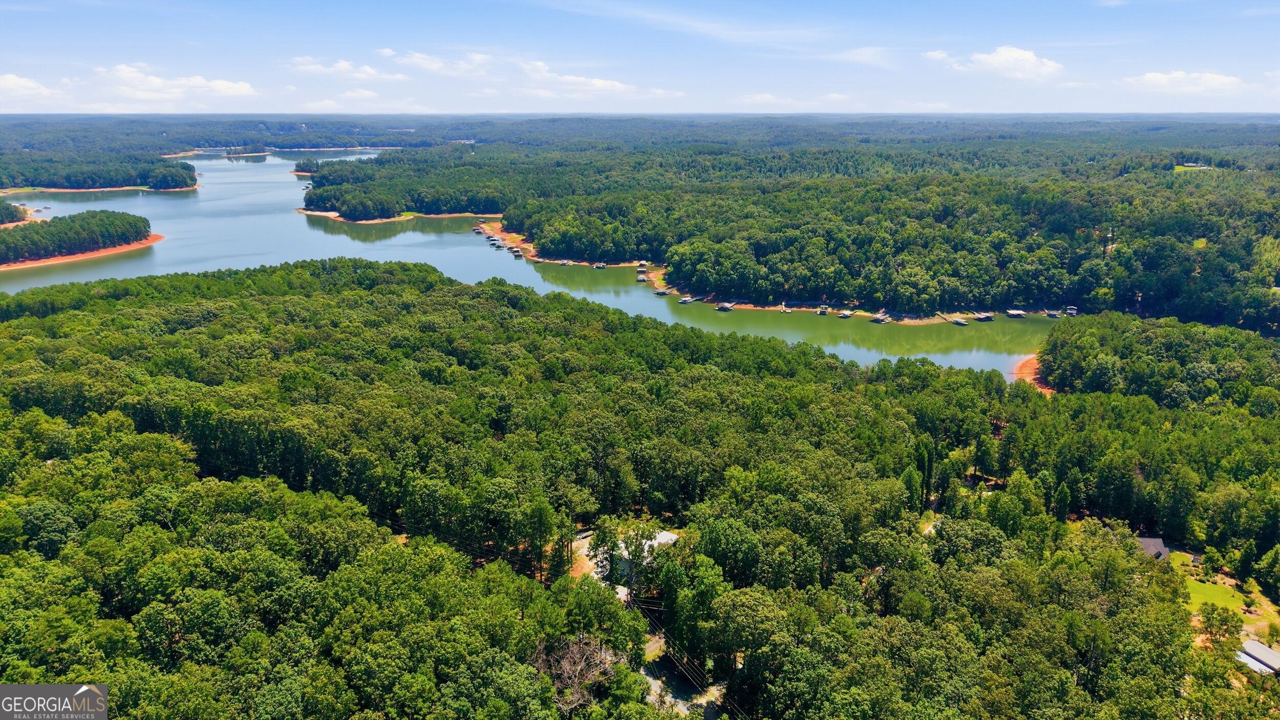 346 Currahee Ridge Road Property Photo 44