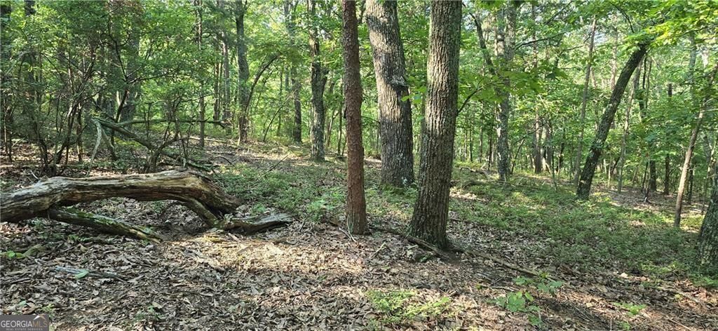 1356 Firetower Road Property Photo 8