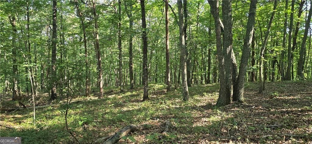 1356 Firetower Road Property Photo 9