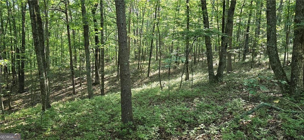 1356 Firetower Road Property Photo 10