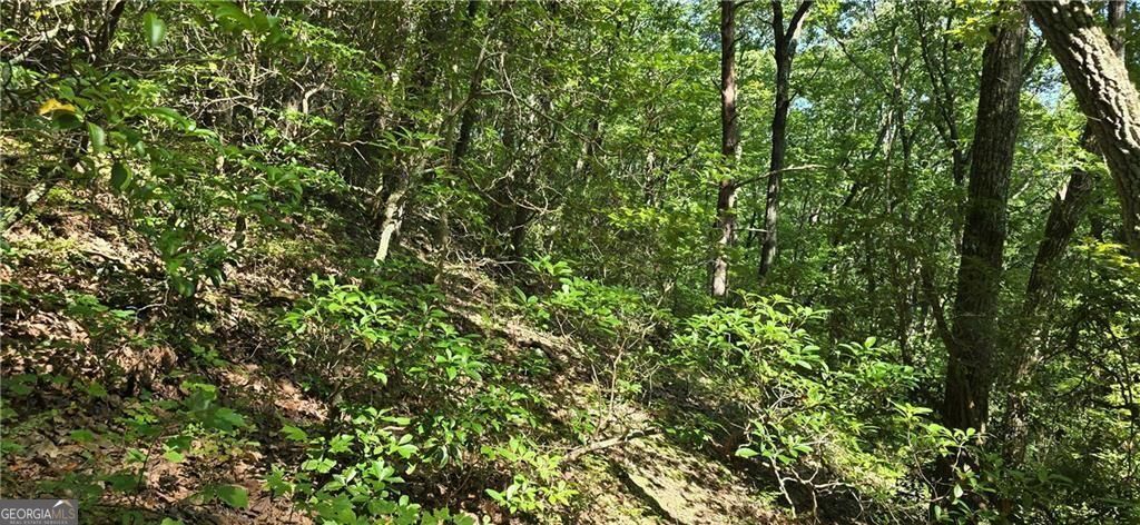 1356 Firetower Road Property Photo 11